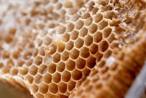 Alergia al polen de abeja